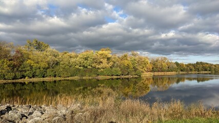reflection of trees in the water