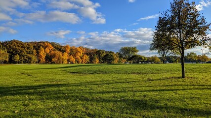 autumn landscape with trees