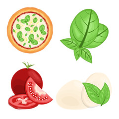 Pizza and ingredients concept fast food illustration vector