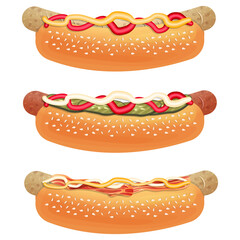 Hot dogs illustration set fast food concept vector