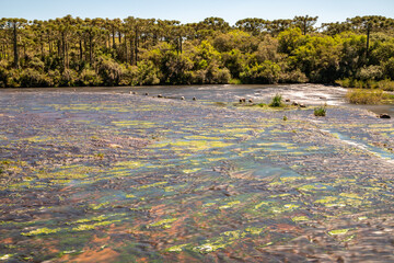Tainhas River with rocks and vegetation around