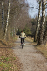 Fahrradfahren, rad, radeln, herbst, frau, von hinten, radelt, freizeit, sport, erholung, anonym, birke, birken, wald, radweg, natur,