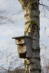 nistkasten, natur, naturschutz, vogel, brutkasten, nisthilfe, baum, outdoor, brut, brüten, 