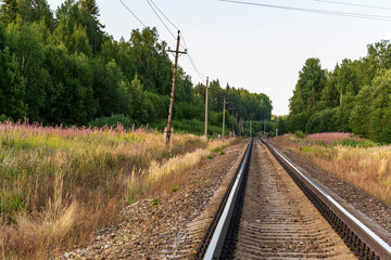 Obraz na płótnie Canvas railway in the forest