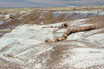 Petrified Forest National Park - The Crystal Forest
