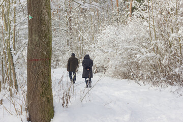 Winterspaziergang im Schnee