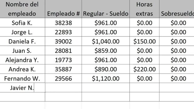 Spanish. Typing Company Payroll Financial Figures Numbers For The Current Period in Spreadsheet. Type Up Employee Pay and Overtime in Worksheet File For Business. Corporation Regular Salary.