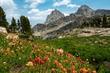 Photo sur Plexiglas Chaîne Teton Saison des fleurs sauvages dans le parc national de Grand Teton