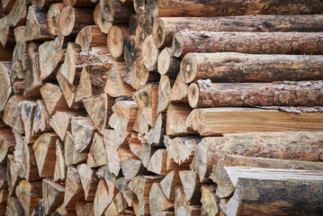 Big pile of wood in the forest
