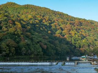 京都府 嵐山公園 中ノ島地区