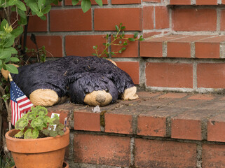 Old dirty wet teddy bear on the porch in the USA