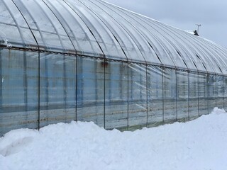 雪が積もったビニールハウス