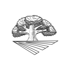 Oak tree Farm Icon Illustration Brand Identity