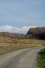 Fototapeta na wymiar 春の農村の砂利道と雪山　十勝岳連峰 