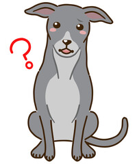 疑問に思うイタリアングレイハウンド（グレー系）