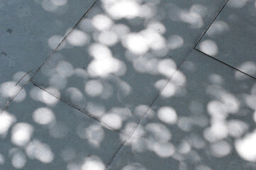 Sunlight on cement ground filtered through tree leaves