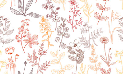 vector drawing floral seamless pattern, natural background with medicinal plants, hand drawn illustration