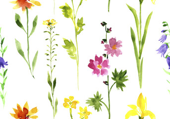watercolor drawing seamless pattern with wild flowers at white background, hand drawn illustration