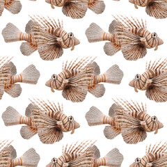 seamless pattern with drawing tropical fises at white background,red lionfish, zebrafish, Pterois volitans, hand drawn illustration