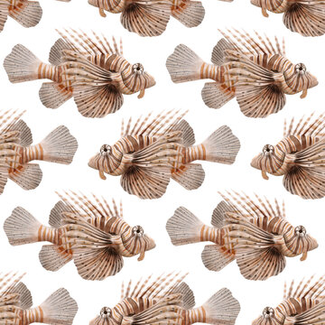 seamless pattern with drawing tropical fises at white background,red lionfish, zebrafish, Pterois volitans, hand drawn illustration