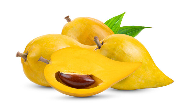 canistel fruit (Egg fruit, Tiesa, Yellow sapote, Canistelsapote, Chesa, Pouteria lucuma) isolated on white