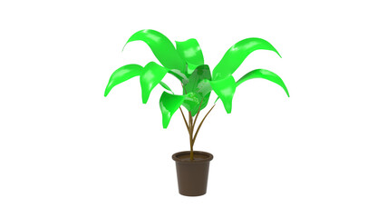tree on pot without shadow 3d render