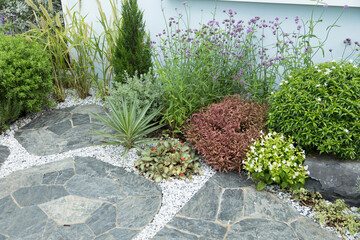 Backyard Garden with Green Small Plants. Residential Gardening Theme.