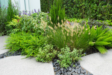 Fototapeta na wymiar Backyard Rockery Garden with Green Small Succulent Plants. Residential Gardening Theme.