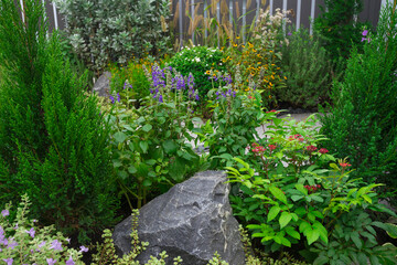 Backyard Rockery Garden with Green Small Succulent Plants. Residential Gardening Theme.