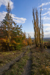 Landschaft am Haßbertrauf beim Fachwerkdorf Nassach im Naturpark Haßberge, Gemeinde Aidhausen, Landkreis Haßberge, Unterfranken, Franken,  Deutschland