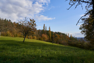 Landschaft am Haßbertrauf beim Fachwerkdorf Nassach im Naturpark Haßberge, Gemeinde Aidhausen, Landkreis Haßberge, Unterfranken, Franken,  Deutschland
