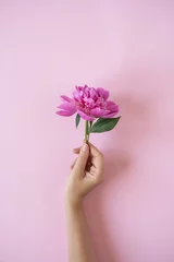 Gartenposter Female hand holding pink peony flower on pink background © Floral Deco