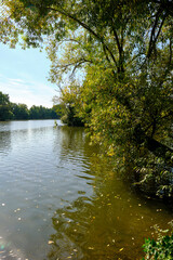 Landschaft und Baggerseen bei Dörfleins, Teil des LIFE-Naturprojekt Oberes Maintal, Stadt Hallstadt, Landkreis Bamberg, Oberfranken, Franken, Bayern, Deutschland