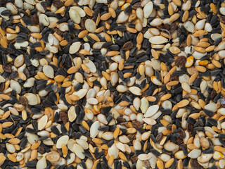 Various pumpkin seeds (pumpkin, squash), melons (melon, watermelon) and sunflower as a background. Close-up of multicolored seeds. Grain mixture for feeding birds