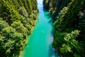 Naklejka na ściany i meble Kayaking on river in forest - beautiful nature scenery