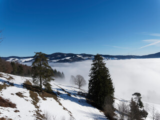 Winterszene im Zeller Bergland im Südschwarzwald. Wälder, Hügel und Wiesen, schlafende Natur bei Schnee zwischen Adelsberg un Pfaffenberg mit Blick auf Wiesental, Frohnd und Gersbach unter Nebel