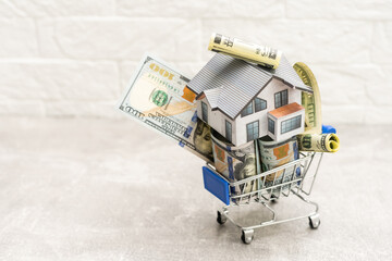 House and money in shopping cart, Buying and selling real estate. Property investment and house mortgage financial concept, Copy space for text.
