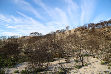 landscape with sky