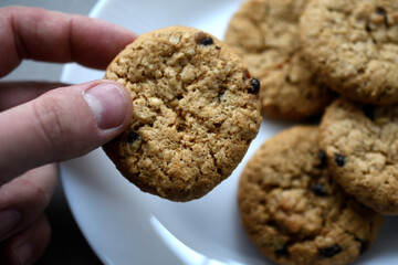 Oatmeal cookies with chocolate on a plate