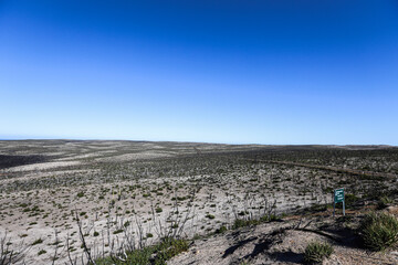 plowed field in winter