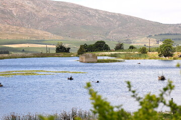 A derelict farmhouse in the middle of a dam in the Western Cape, South Africa