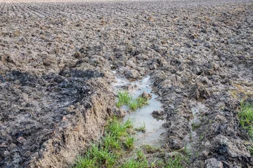 Foto auf Alu-Dibond Clay soil in Flevoland Proivnce, The Netherlands © Holland-PhotostockNL