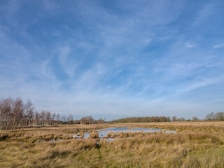 Obraz premium Dwingelerveld near Dwingeloo and Ruinen, Drenthe Province, The netherlands