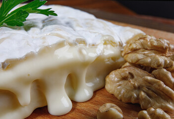 Camembert cheese with white noble mold.