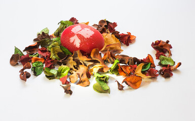 Easter egg amongst red petals dried plant
