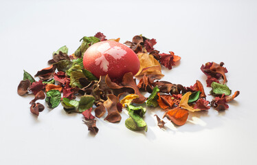Easter egg amongst red petals dried plant