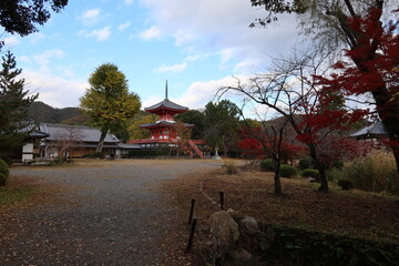 Shingyoho-to Tower and autumn leaves in the precincts of Dikaku-ji Temple at Saga in Kyoto City in Japan 日本の京都市嵯峨にある大覚寺境内の心経宝塔と紅葉