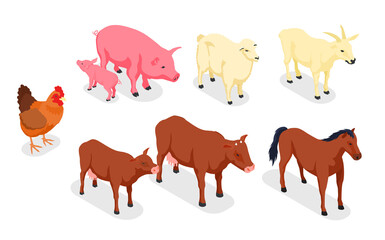 Farm Animals Veterinary Isometric Colored Icon Set