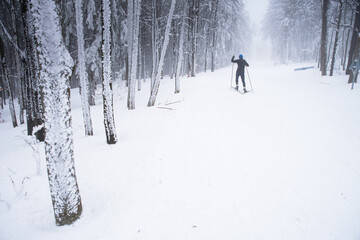 Cross country skiing in white winter nature professional race sport photo