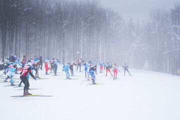 Professional nordic ski race in white snowy winter nature
